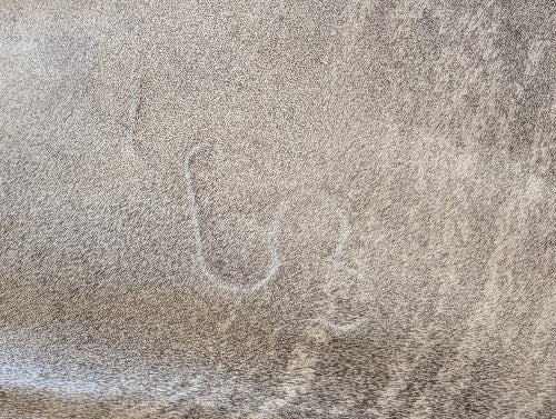 Cowhide Rug, Brazilian #131