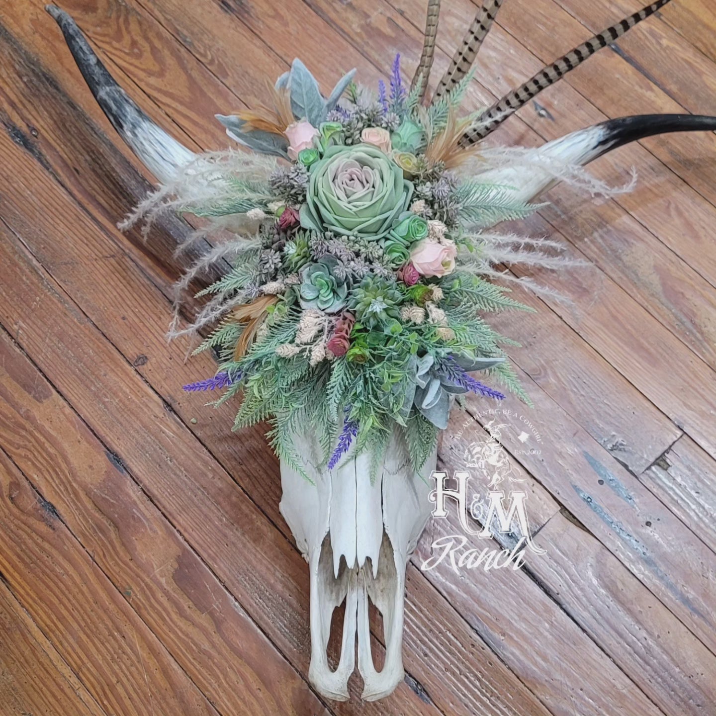 Succulent Longhorn Arrangement