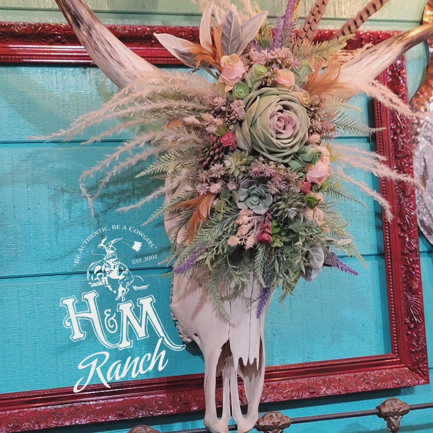 Succulent Longhorn Arrangement