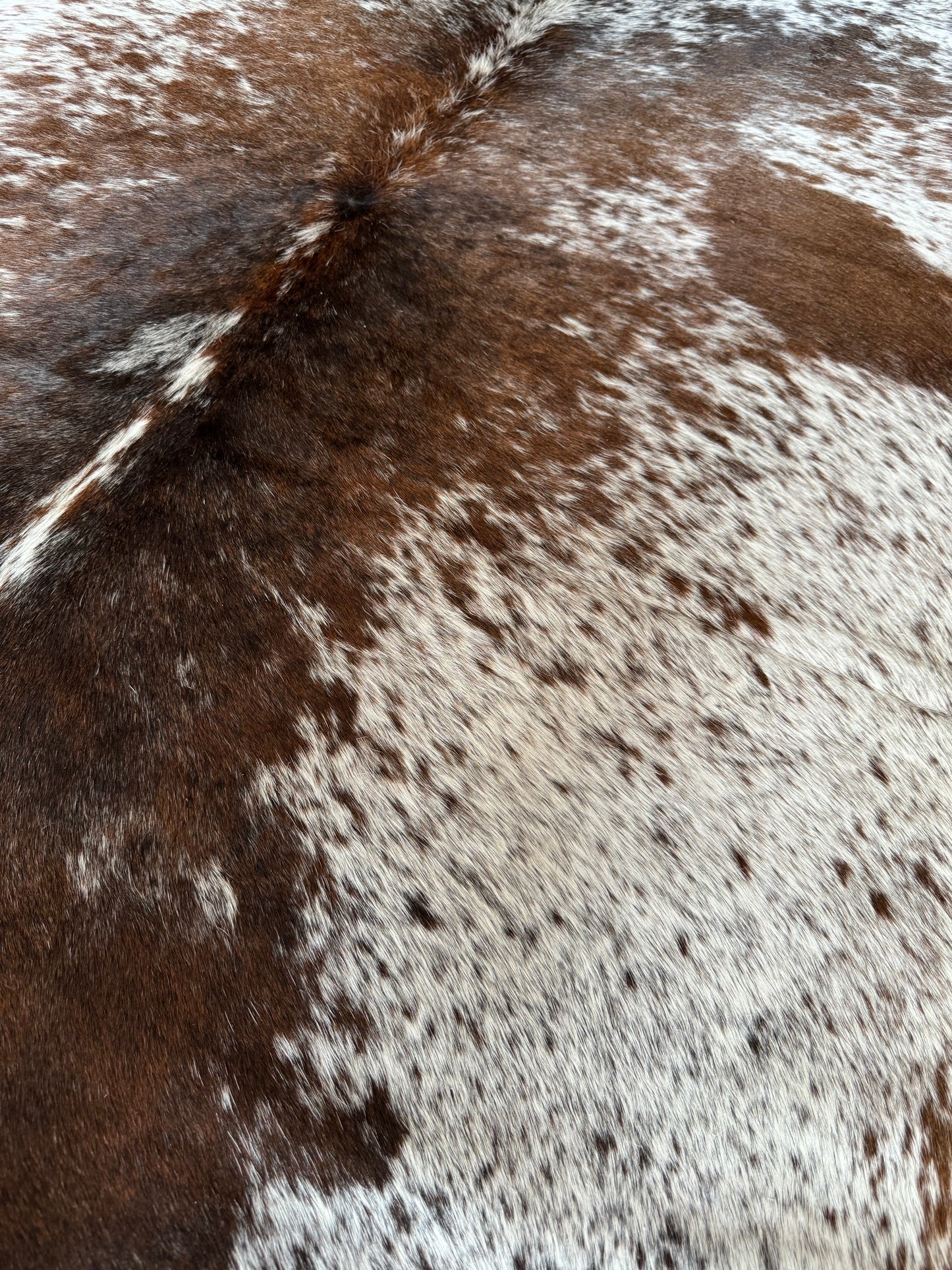Cowhide Rug, Brazilian #106