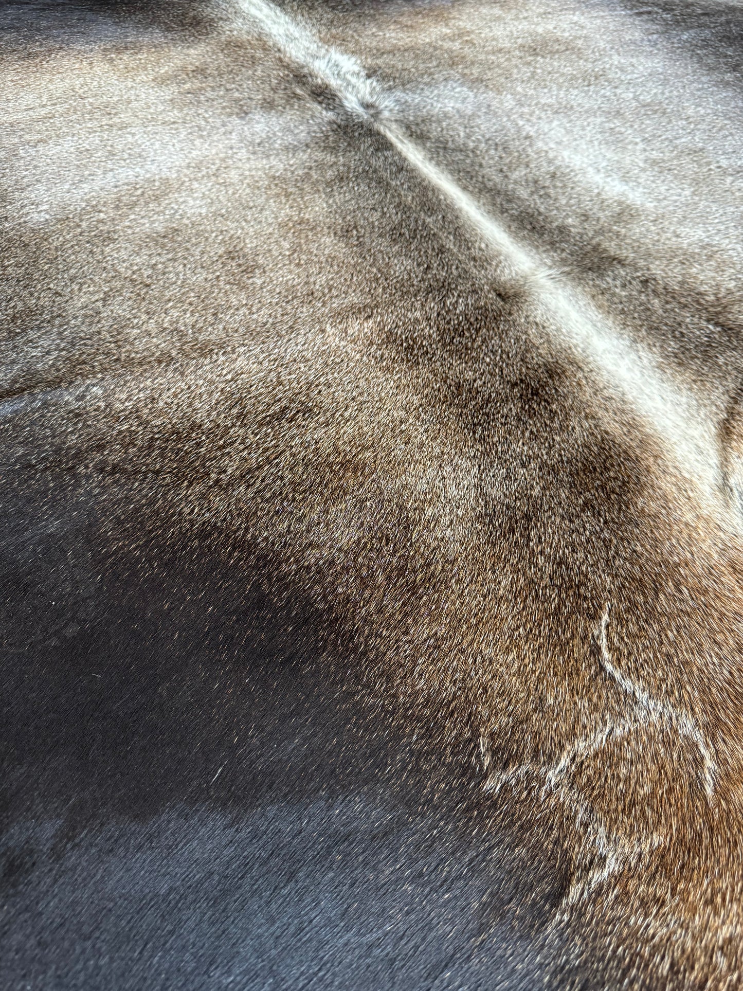 Cowhide Rug, Brazilian #107