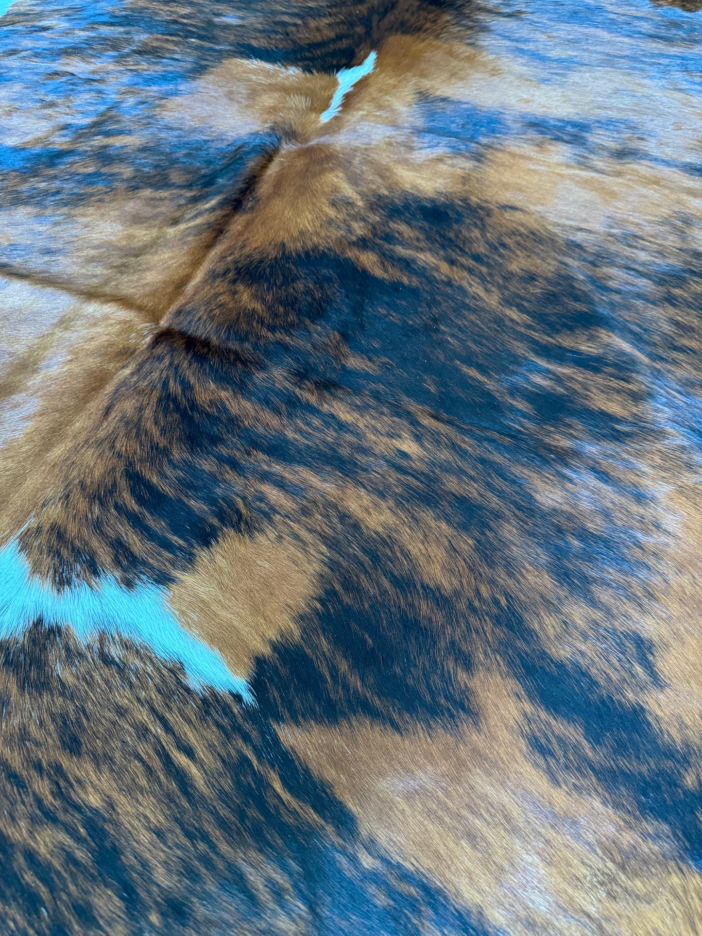 Cowhide Rug, Brazilian #108