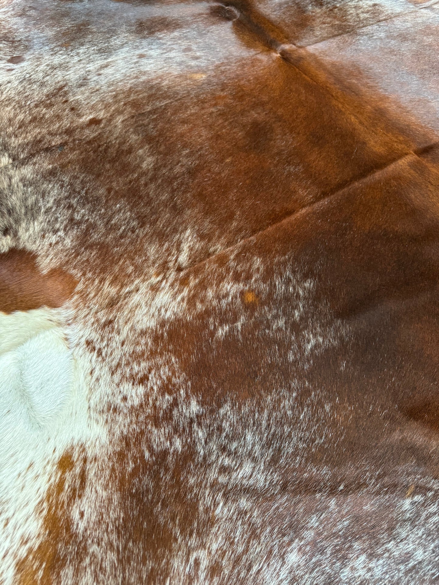 Cowhide Rug, Brazilian #109