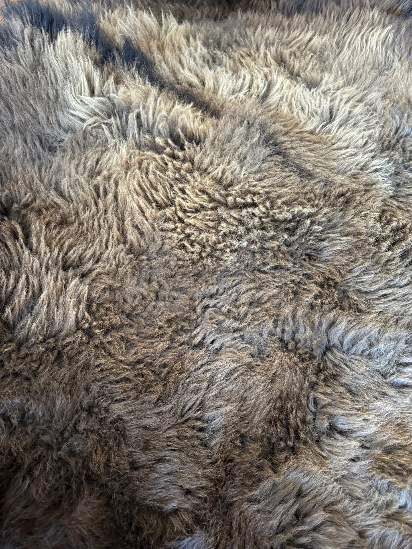Premium Buffalo Rug, #101