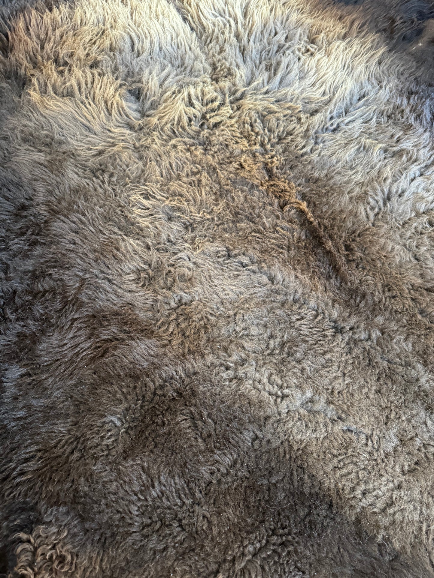 Premium Buffalo Rug, #102
