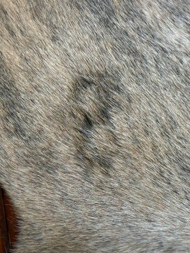 Cowhide Rug, Brazilian #133