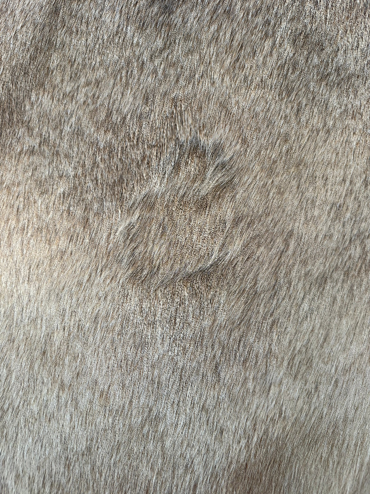 Cowhide Rug, Brazilian #136