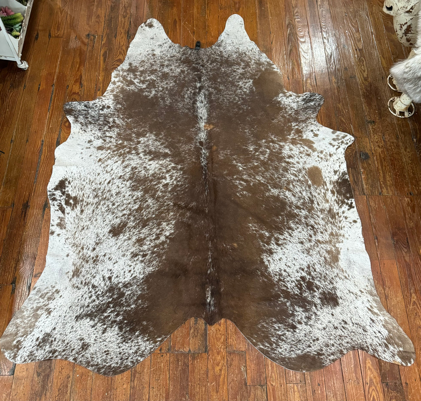 Cow Hide Draw