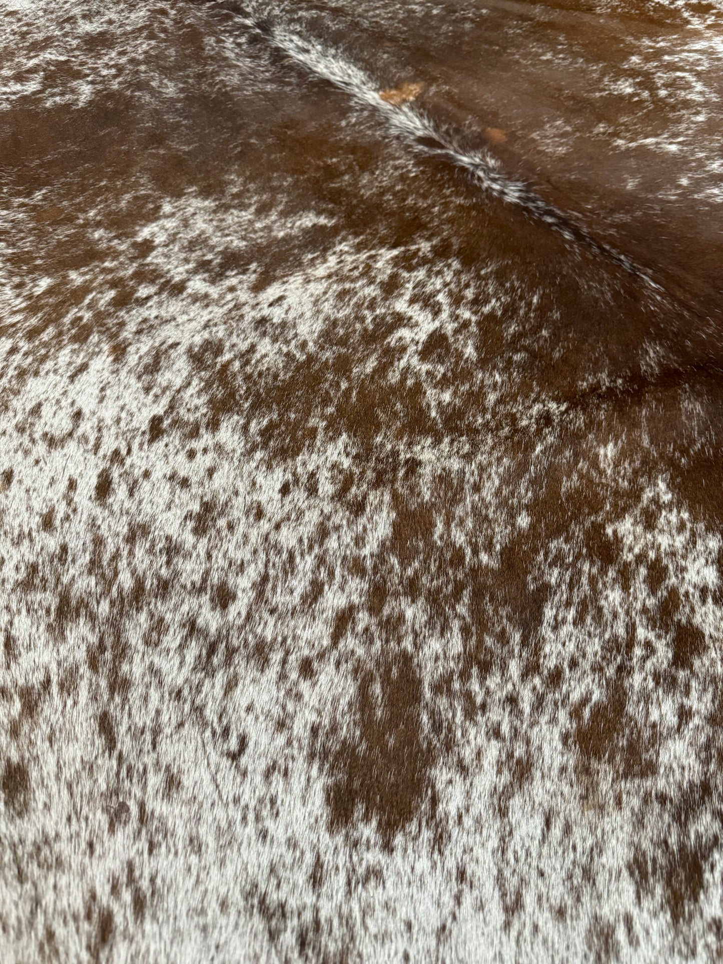 Cow Hide Draw