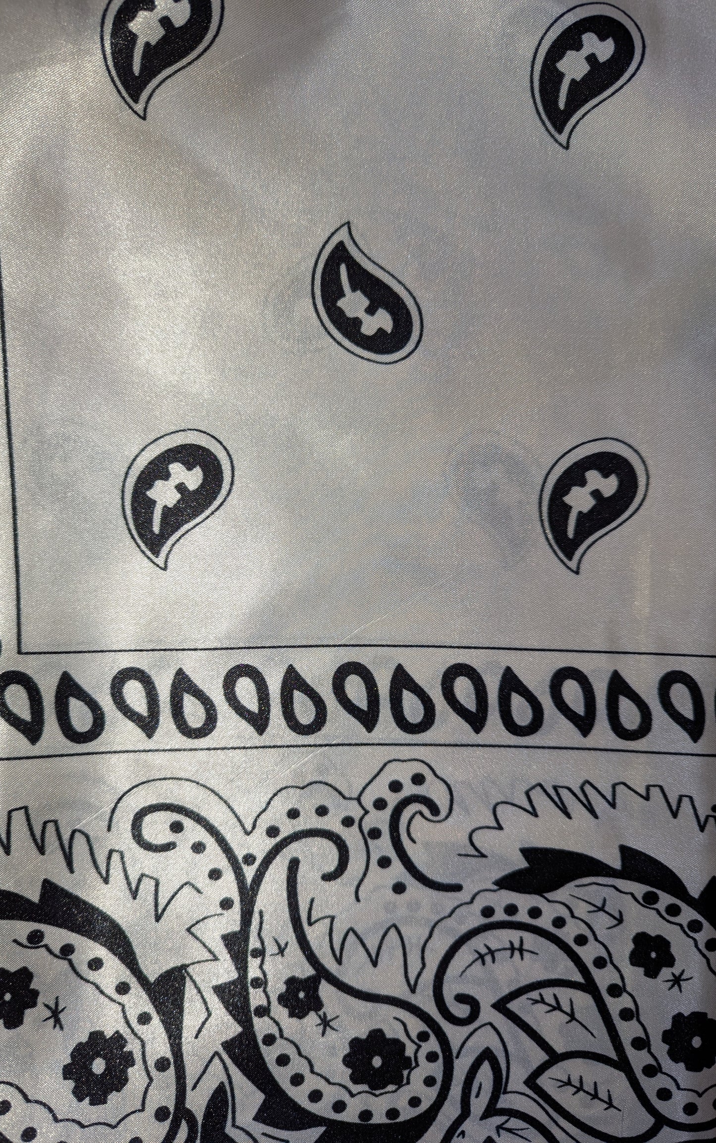 Wild Rag Scarf - Rodeo Drive