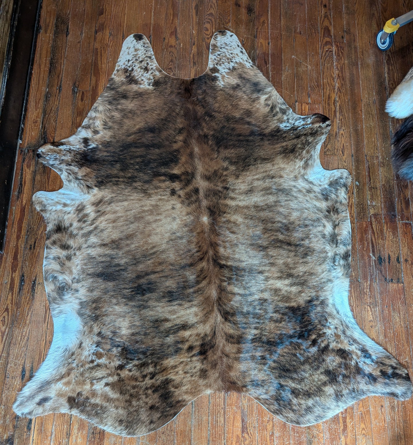 Cowhide Rug, Brazilian #251