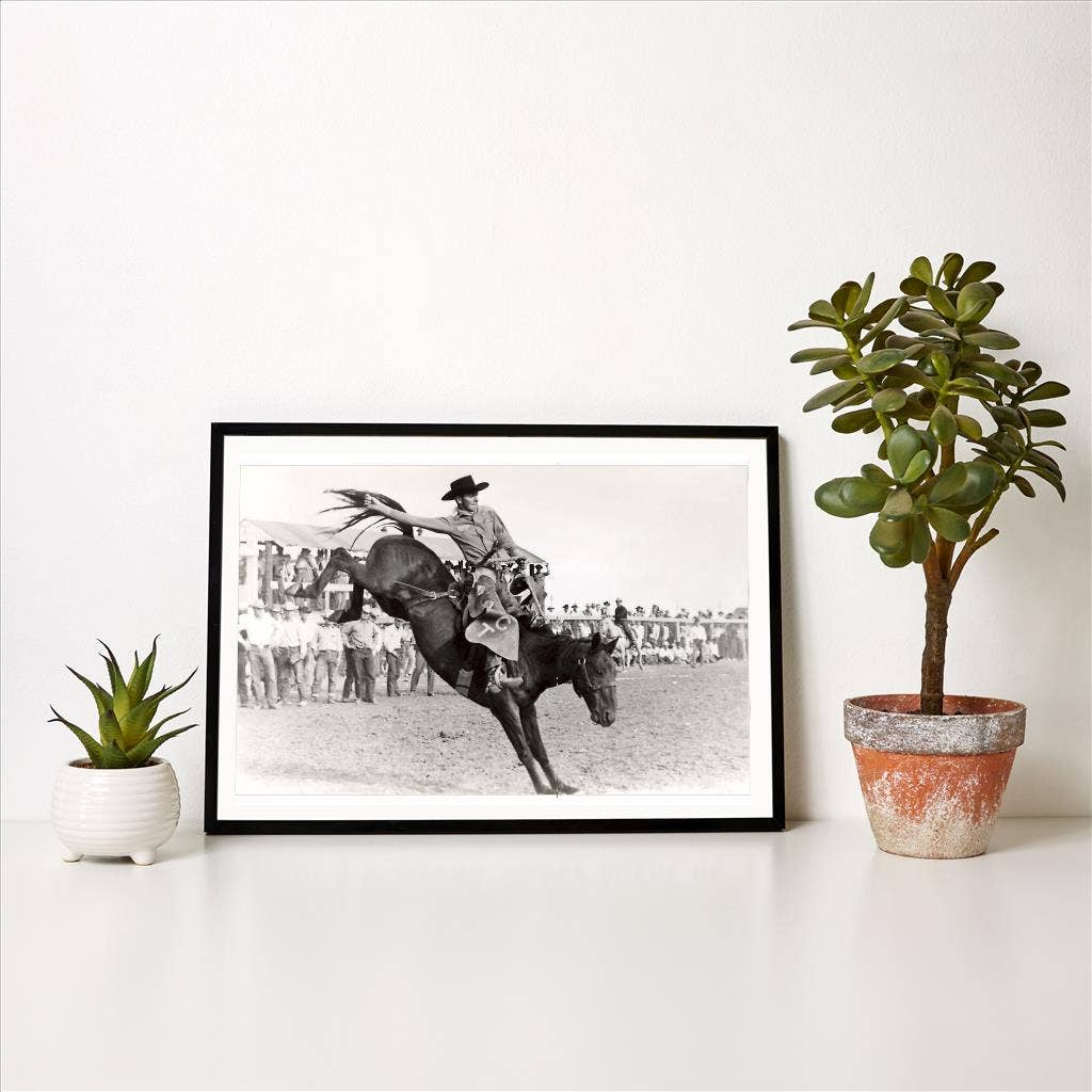 Art Print CB-114 Bucking Bronco Photograph