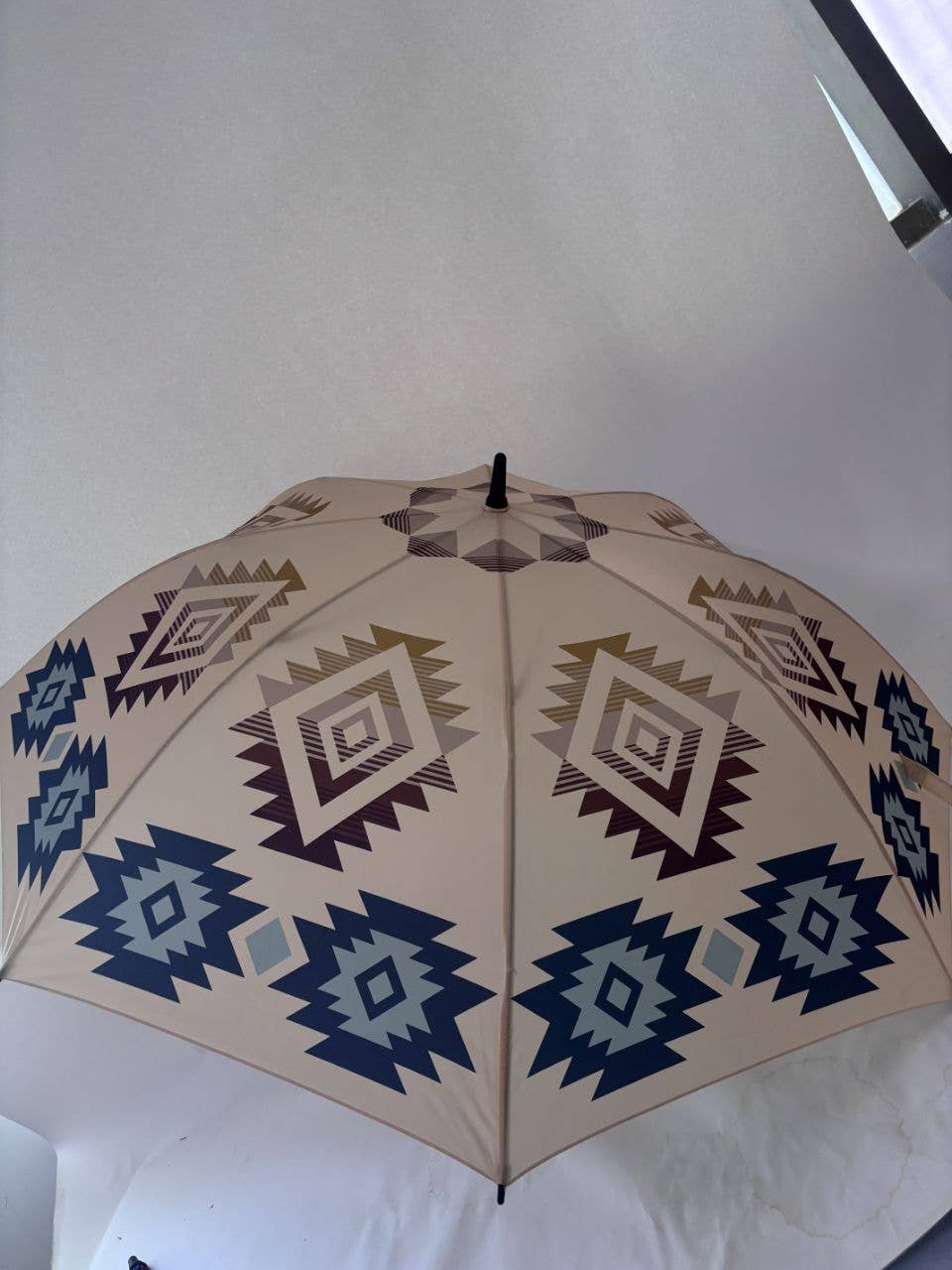 Umbrella Cream and Blue