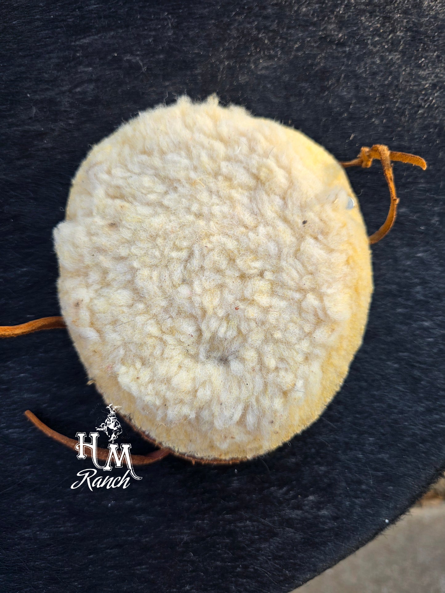 Decorative Leather with Longhorn, Jennifer Casebeer Art