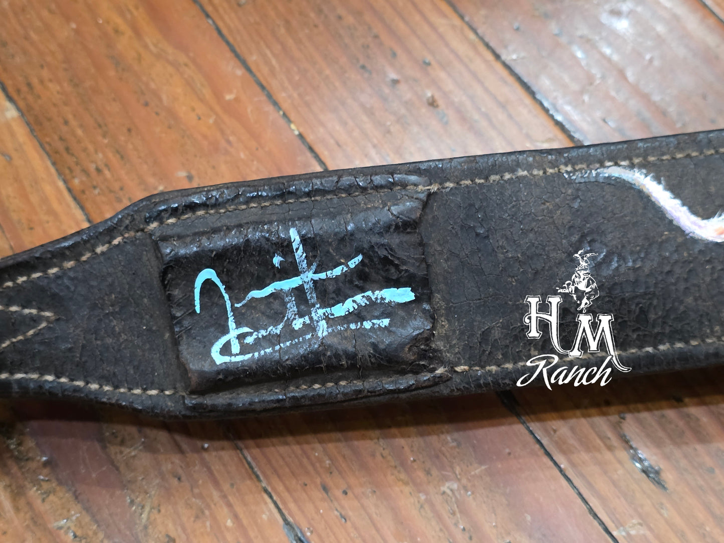 Leather Longhorn Cinch Strap, Jennifer Casebeer Art