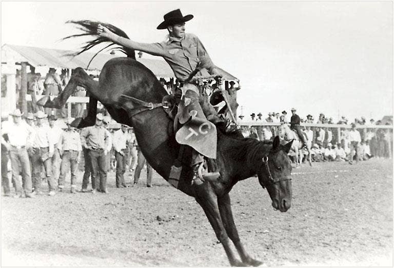 Art Print CB-114 Bucking Bronco Photograph