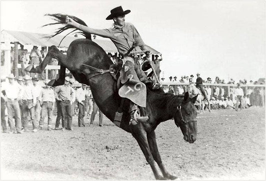 Art Print CB-114 Bucking Bronco Photograph