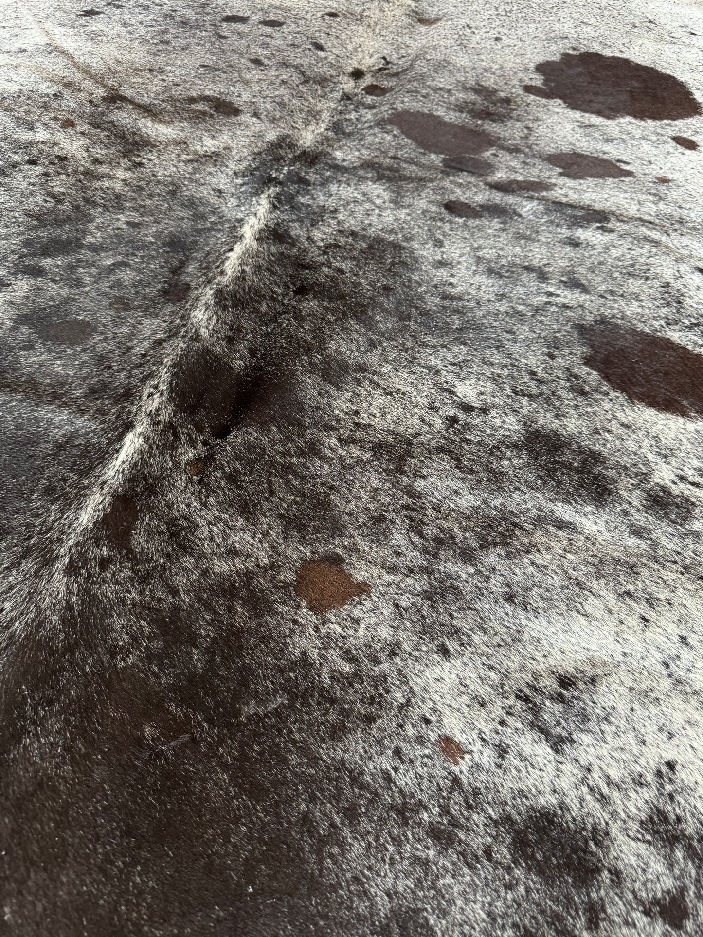 Cowhide Rug, Brazilian #105