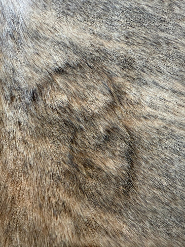 Cowhide Rug, Brazilian #133