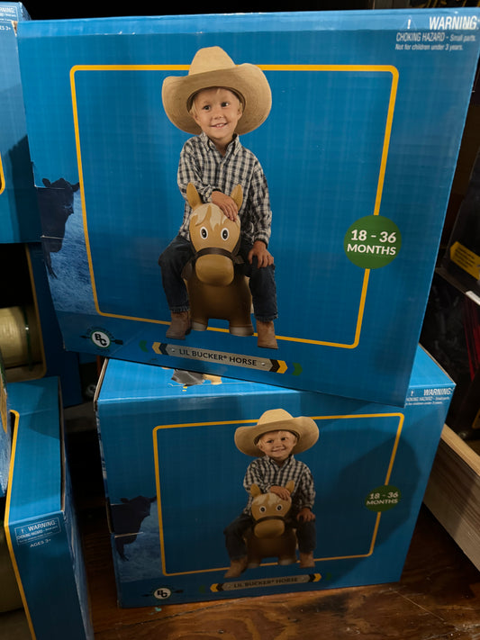 Big Country -Lil Bucker Horse