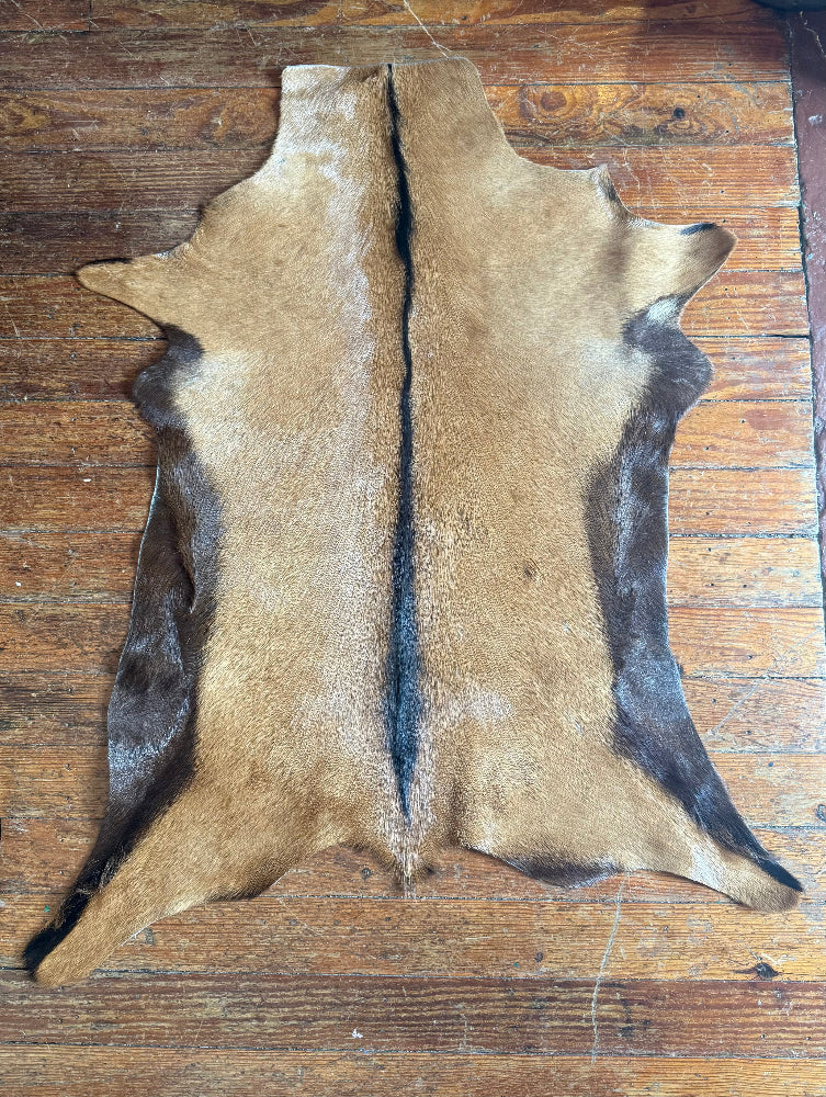 Goat Skins - Multiple Options