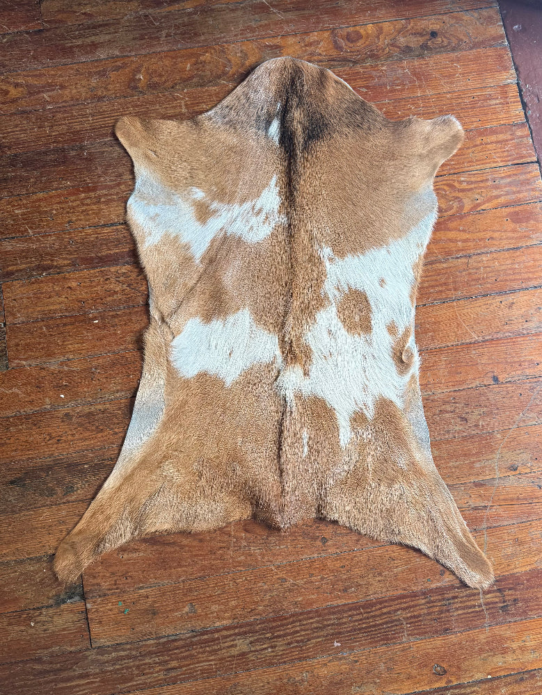 Goat Skins - Multiple Options