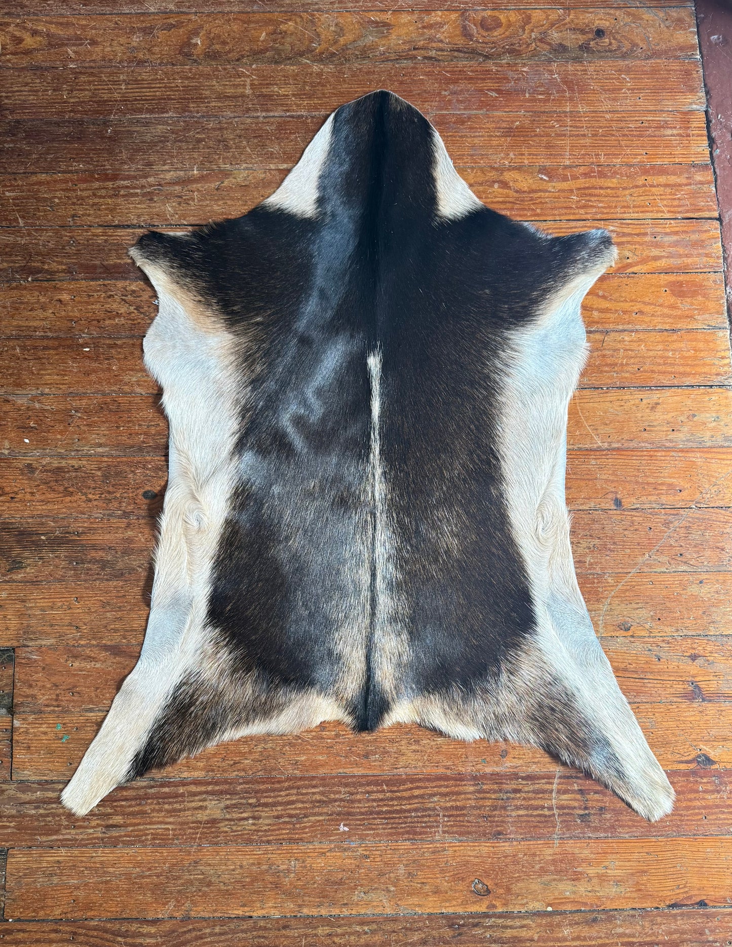 Goat Skins - Multiple Options