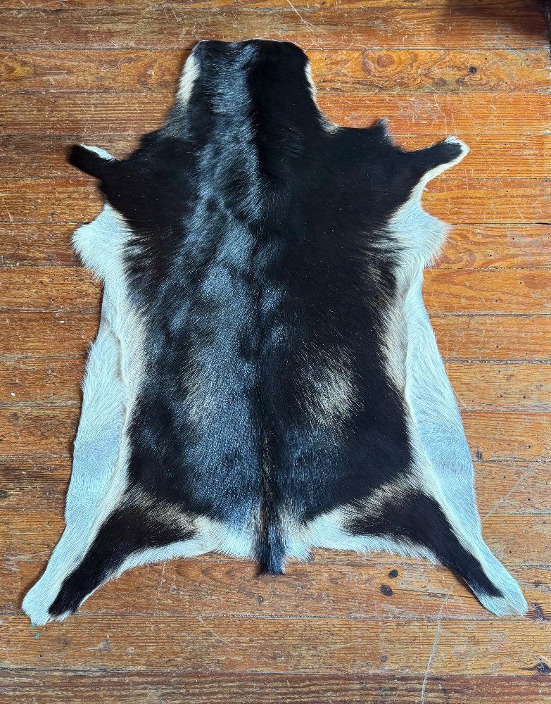 Goat Skins - Multiple Options