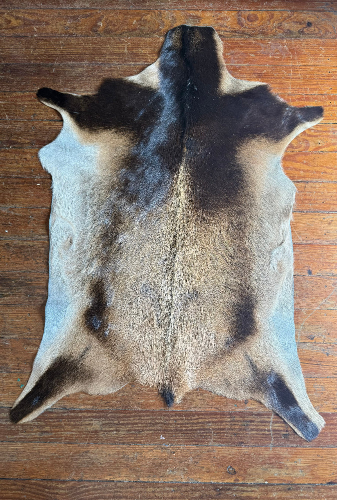 Goat Skins - Multiple Options