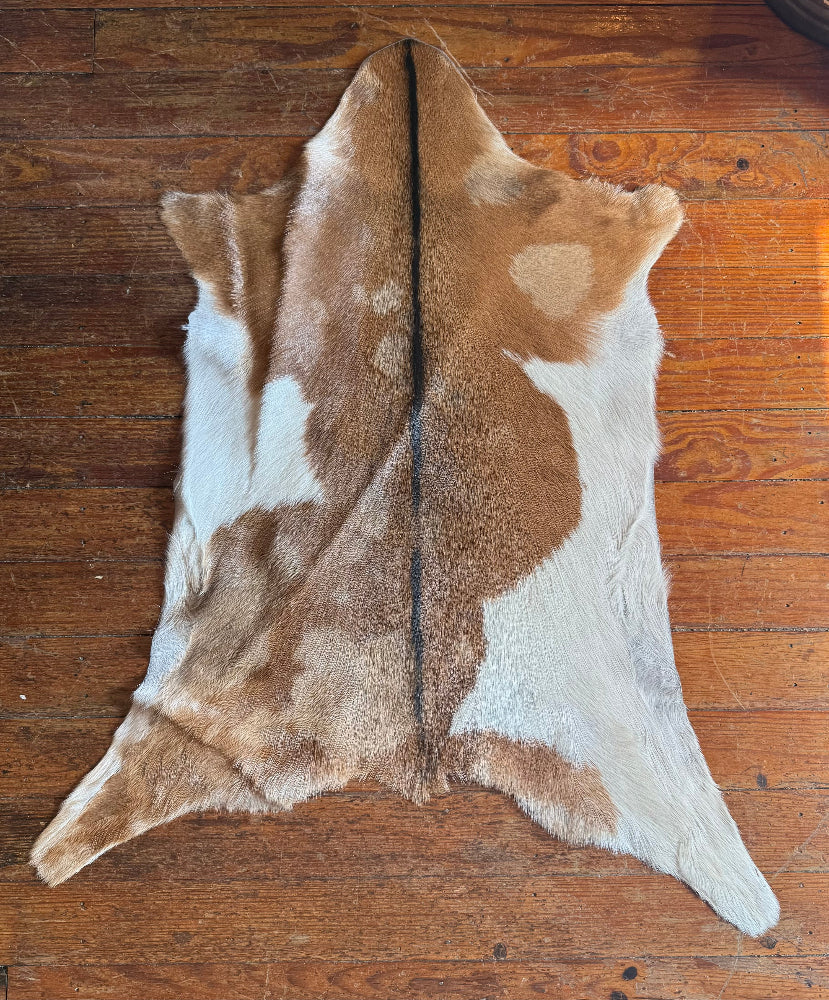 Goat Skins - Multiple Options