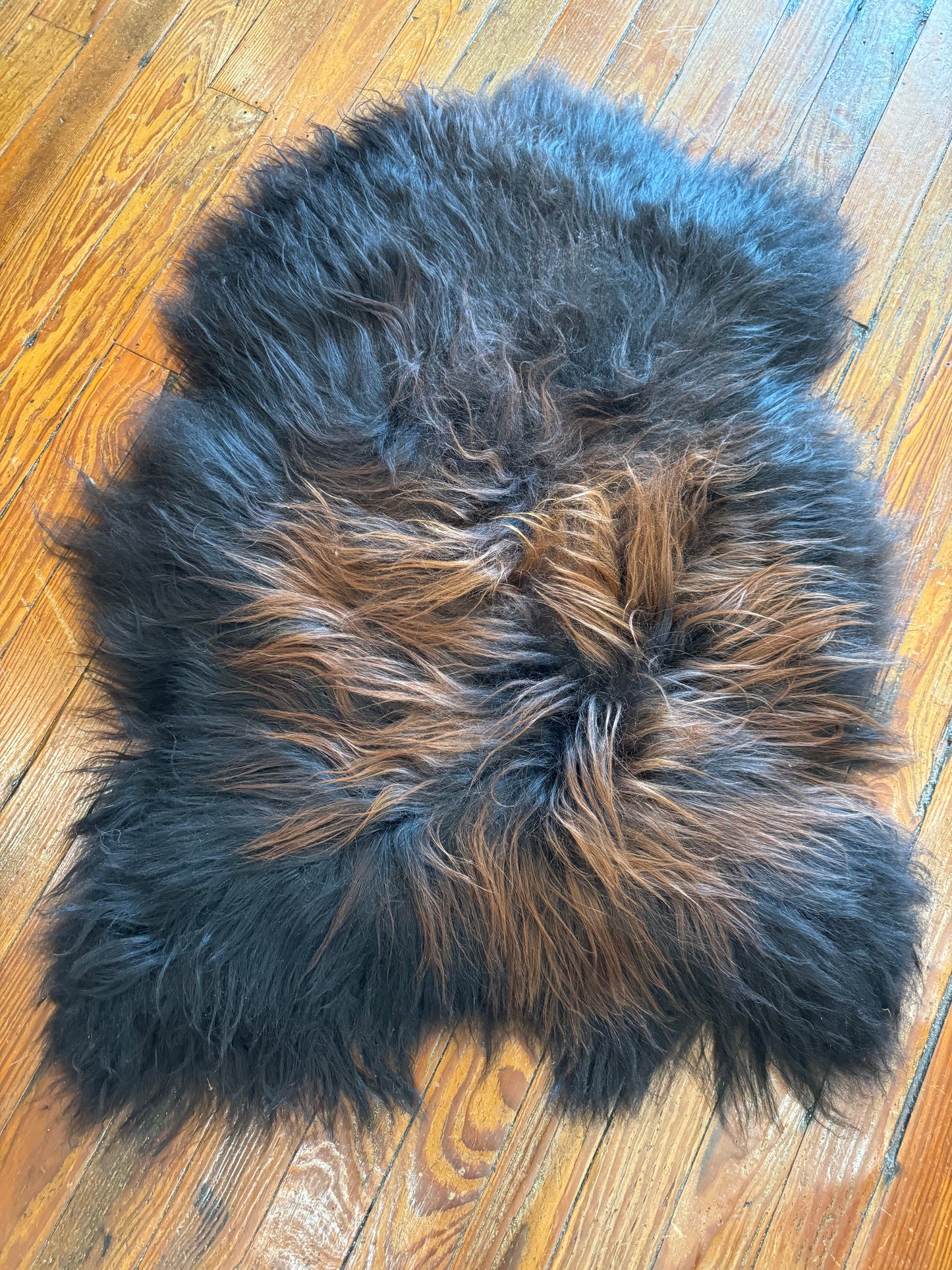 Icelandic Rug, Black & Brown