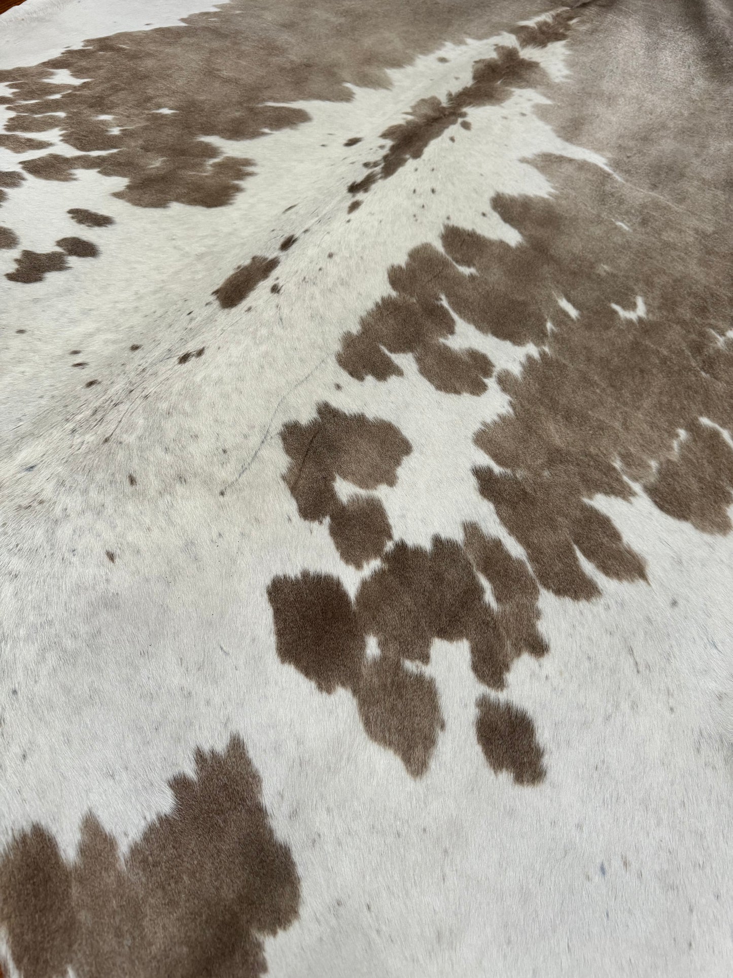 Cowhide Rug, Brazilian #09