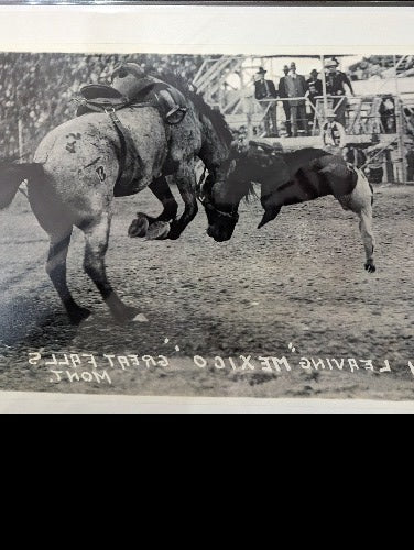 Rodeo Posters, 12x18"