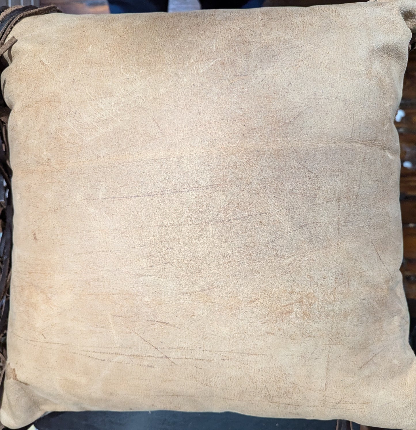 Pillow, Longhorn  Serape