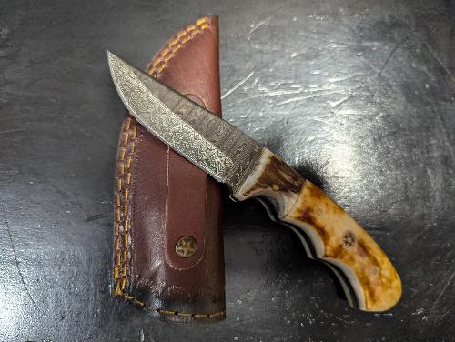 Damascus Steel Burnt Bone & Walnut Hunting Knife