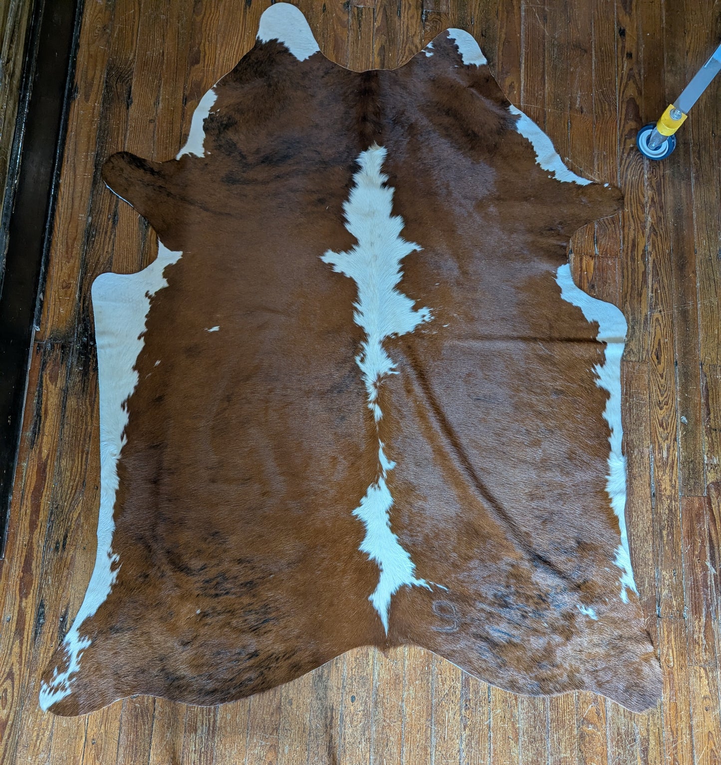 Cowhide Rug, Brazilian #249