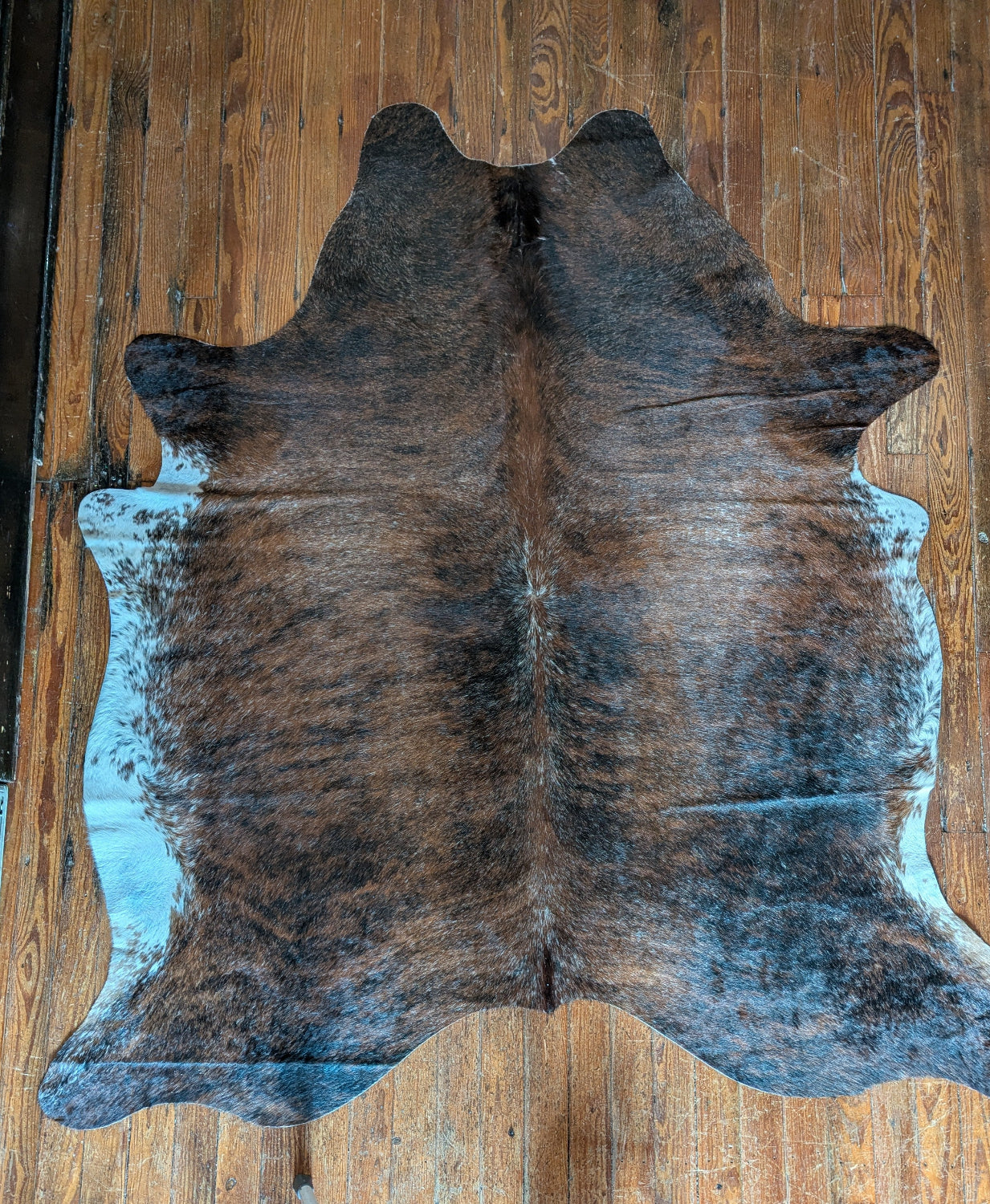 Cowhide Rug, Brazilian #252