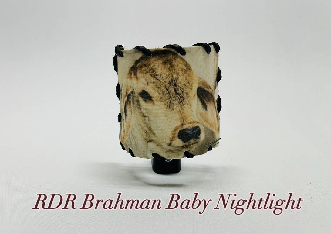 Nightlight Brahman Baby Calf