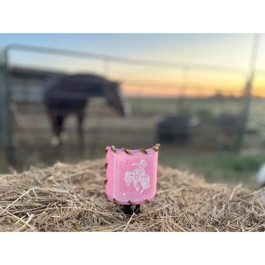 Western Nightlight, Pink Bandana Bronc