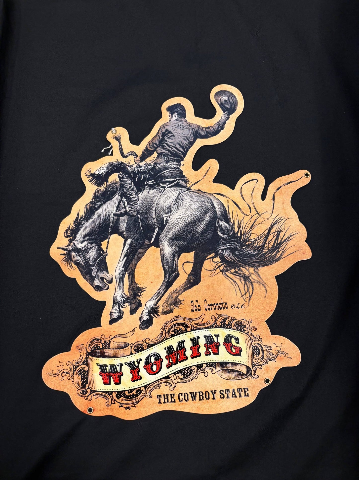 Bronc Rider-Bucking Horse- (Steel sign) WYOMING Rodeo
