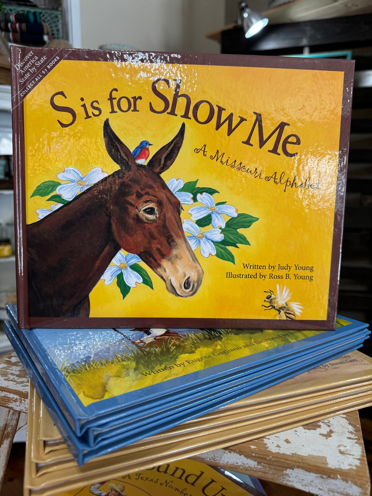 S is for Show Me